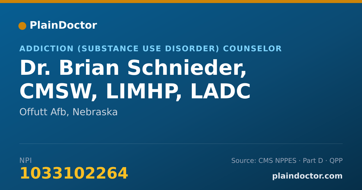 Shareable card for Brian Schnieder, CMSW, LIMHP, LADC - Addiction (Substance Use Disorder) Counselor, Offutt Afb, NE