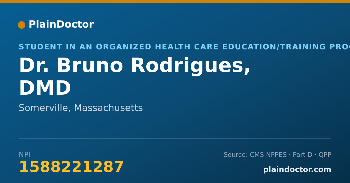 Shareable card for Bruno Rodrigues, DMD - Student in an Organized Health Care Education/Training Program, Somerville, MA