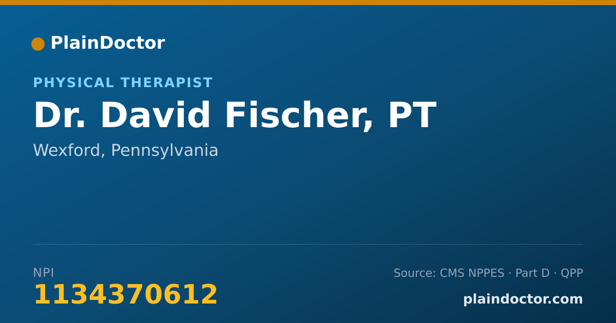 Shareable card for David Fischer, PT - Physical Therapist, Wexford, PA