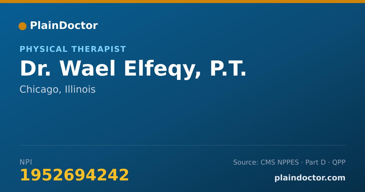 Shareable card for Wael Elfeqy, P.T. - Physical Therapist, Chicago, IL